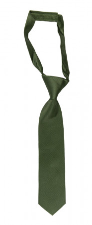 Twillie Seaweed Green petite cravate enfant pré-nouée