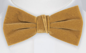 Velvet Butterscotch Beige nœud papillon pré-noué