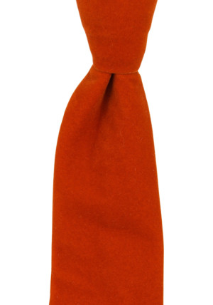 Velvet Deep Orange cravate