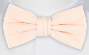 Velvet Powder Pink nœud papillon pré-noué