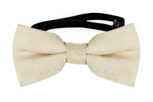 VIGSEL CHAMPAGNE nœud papillon bébé