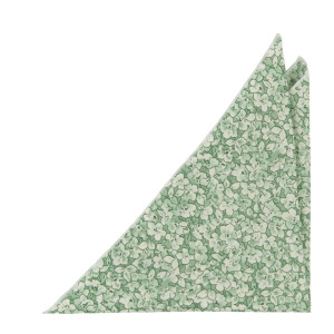 WEDDEBLIS GREEN pochette de costume