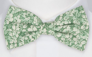 WEDDEBLIS GREEN nœud papillon pré-noué