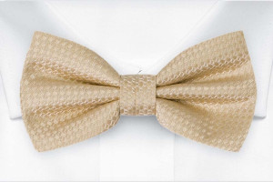 WEDLOCK Champagne nœud papillon pré-noué