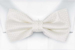 WEDLOCK Diamond white nœud papillon pré-noué
