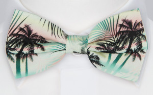 WILDABOUTYOU GREEN nœud papillon pré-noué